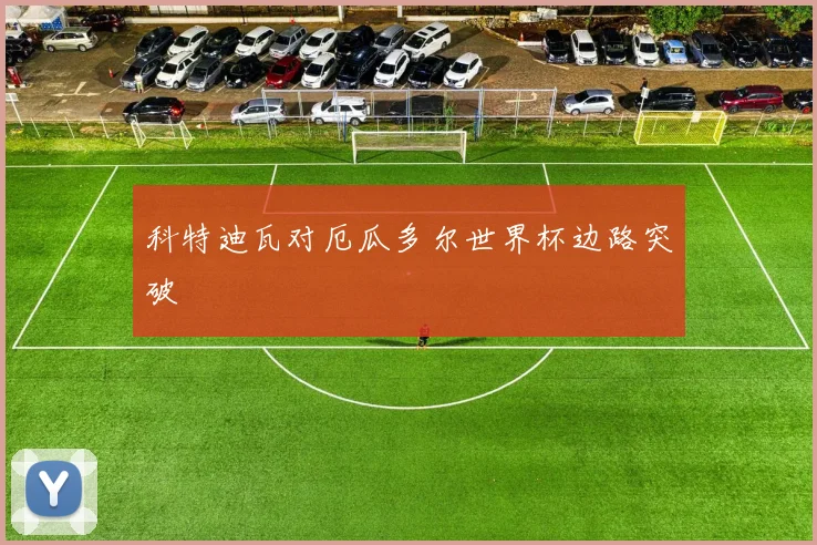 科特迪瓦对厄瓜多尔世界杯边路突破