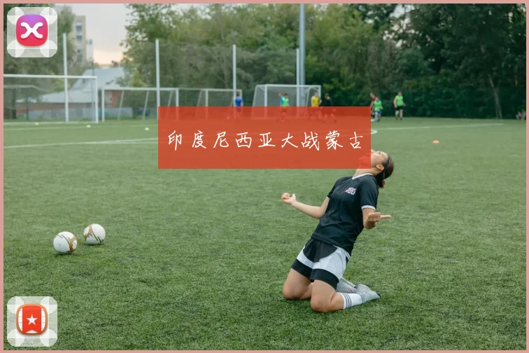 印度尼西亚大战蒙古