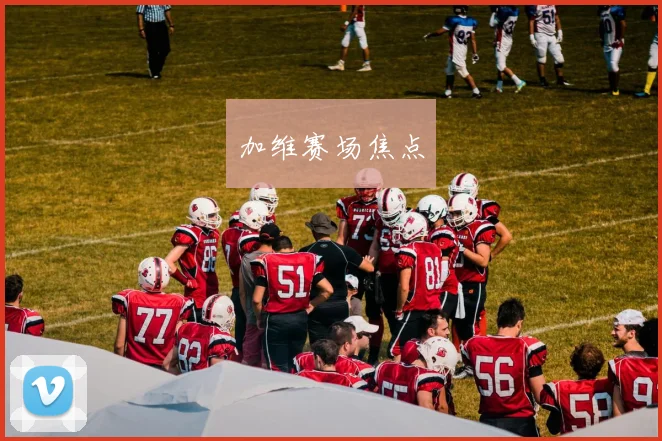 加维赛场焦点