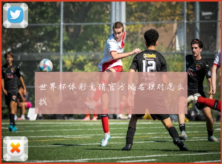 世界杯体彩竞猜官方域名核对怎么找
