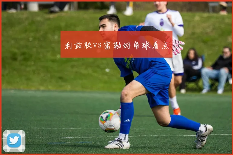 利兹联vs富勒姆角球看点