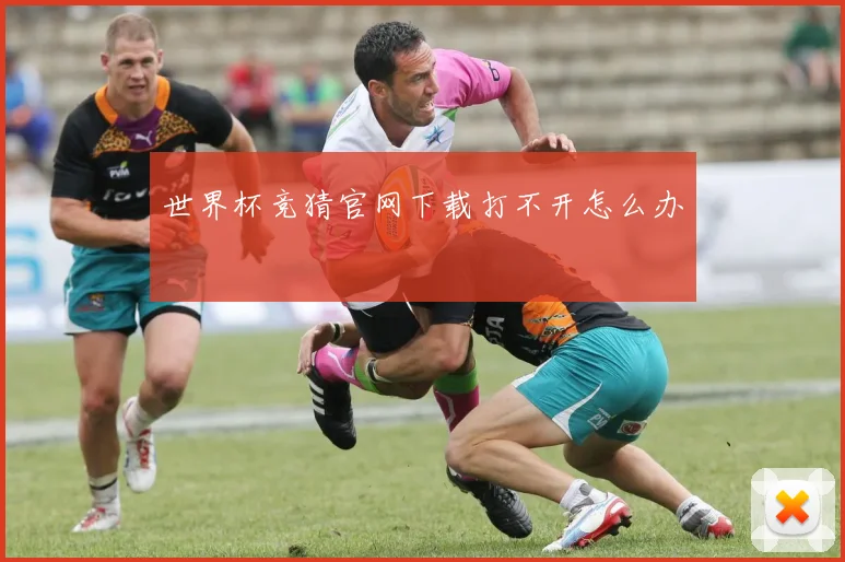 世界杯竞猜官网下载打不开怎么办