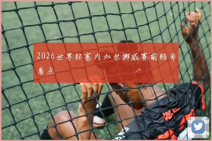 2026世界杯塞内加尔挪威赛前赔率看点