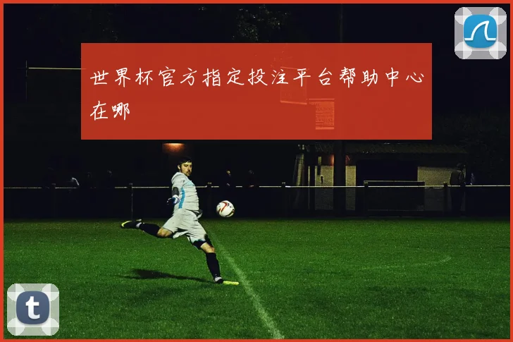 世界杯官方指定投注平台帮助中心在哪